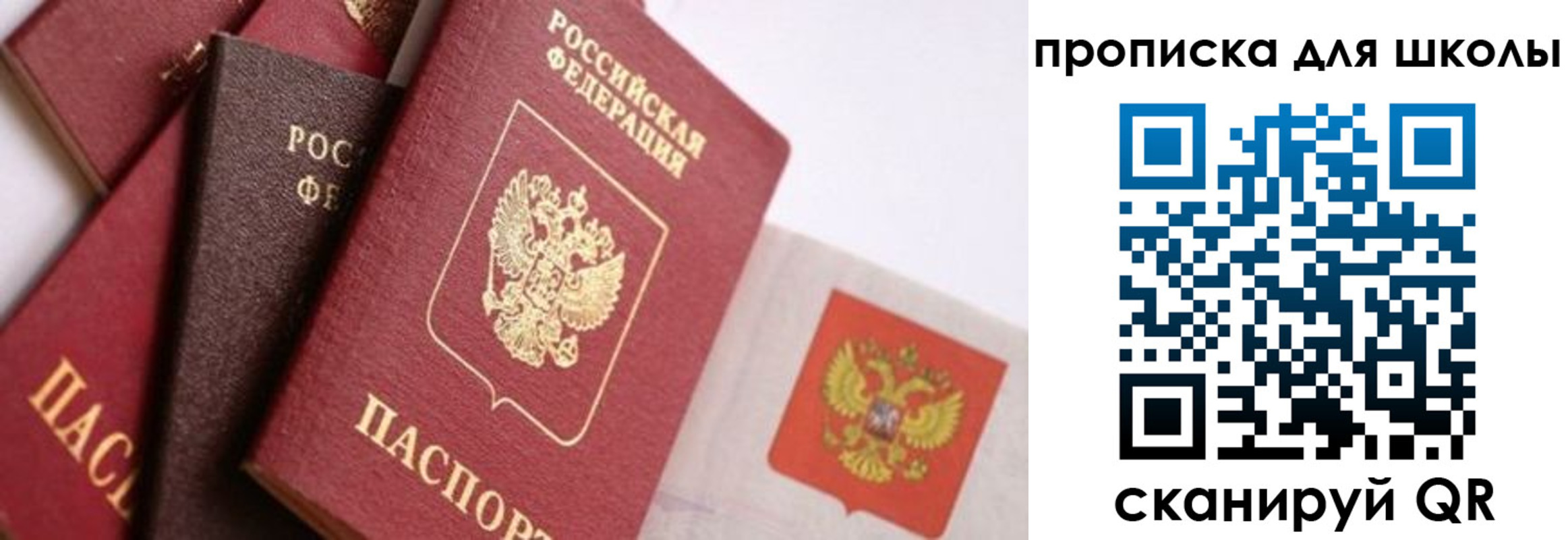 прописка поиск в Котово